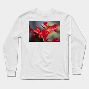 Balboa Park Long Sleeve T-Shirt